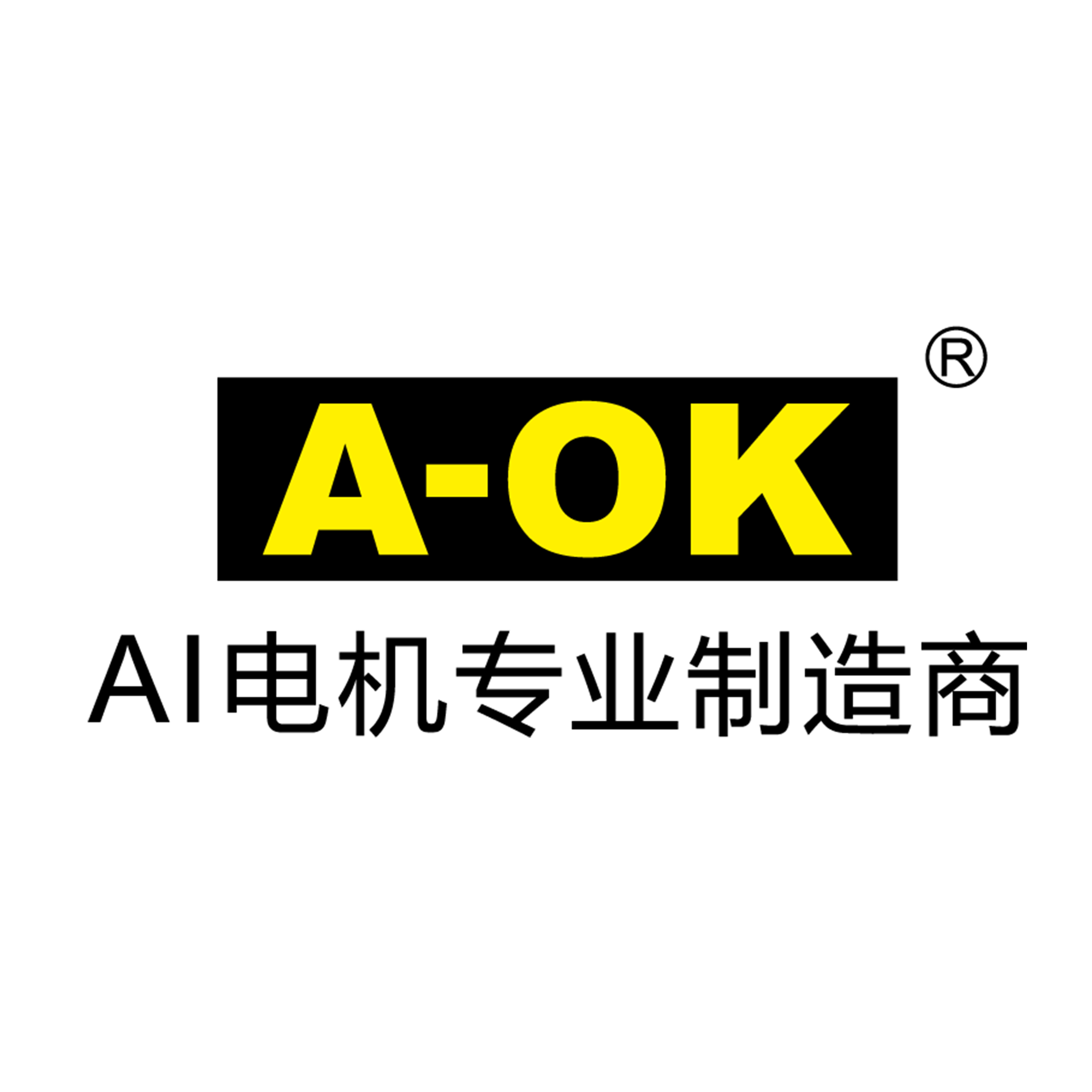 Shengli Liu, General Manager of Domestic Sales, A-OK Motors